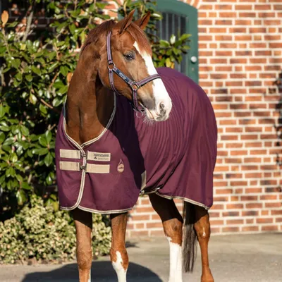 Image de Horseware Amigo Stable Sheet 0g - Fig/Navy