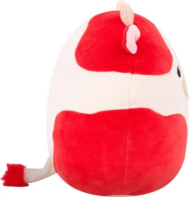 Obrázok produktu pre Squishmallows Teddybär Jedna veľkosť