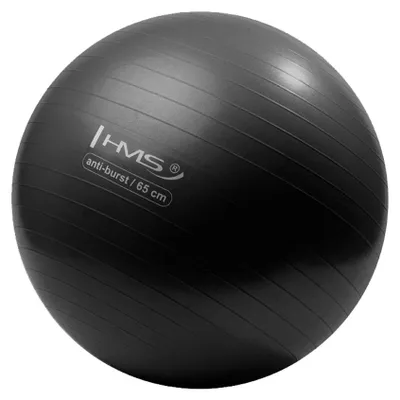 Obrázok produktu pre Gymnastická lopta HMS YB02N 65 cm čierna