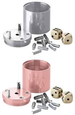 Produktbild von BestSaller 10058 SUPER SIX Würfelspiel Aluminum, 36 Spielstäbchen & 2 Würfel, silber/roségold, 2-teilig (1 Set)