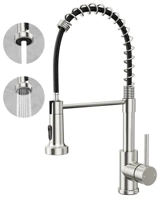 A kitchen faucet with a pull-down sprayer and two different spray modes shown in inset circles.