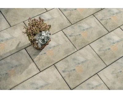 Produktbild von Beton Terrassenplatte iStone Basic muschelkalk 60 cm x 40 cm x 4 cm