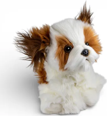 Obrázek produktu pro Carl Dick Shih Tzu lví pes sedící cca 25 cm plyšová hračka, látková hračka, mazlíček 3782
