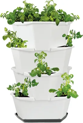 Artikelbild 1 von 'PAUL POTATO Kartoffelturm Starter Set weiß (4 Etagen)'