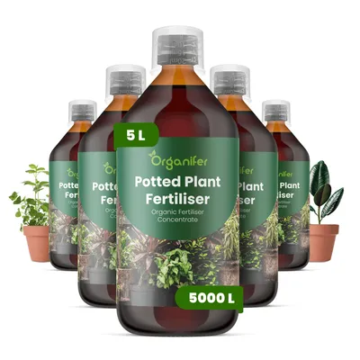 Produktbild von Topfpflanzen Flüssigdünger 5x1L – 3-4-3 NPK – Flüssig-Pflanzendünger für Topfpflanzen – Organifer
