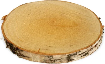 Image de Rondelles d'arbre 1 pc. Bois de décoration Rondelle de bois Plaque de bois 25 - 30 cm