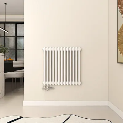 Produktbild von Acezanble 600×605mm Traditioneller Heizkörper 666W 2 Säulen Weiß GusseisenStil