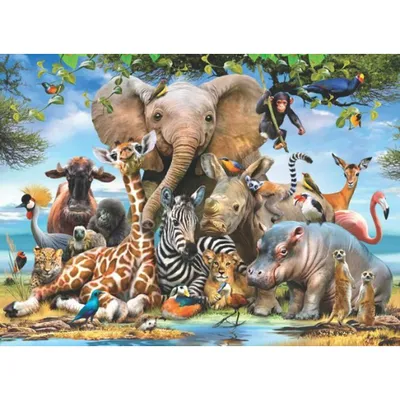 Produktbild von ANATOLIAN Puzzle Afrikanisches Lächeln 1000 Teile