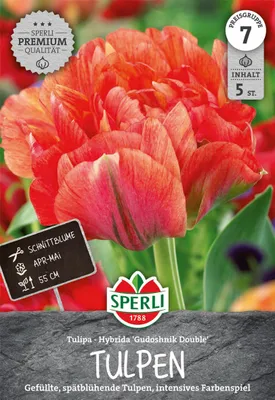 Produktbild von Tulpe Gudoshnik Double (5 Stück) | Tulpenzwiebeln von Sperli