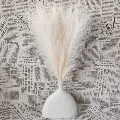Obrázek produktu pro sada 6 pampových trav 45 cm přírodní sušené květiny Phragmites Sušené květiny Zahradní dekorace Svatba Home Party Deco, béžová barva