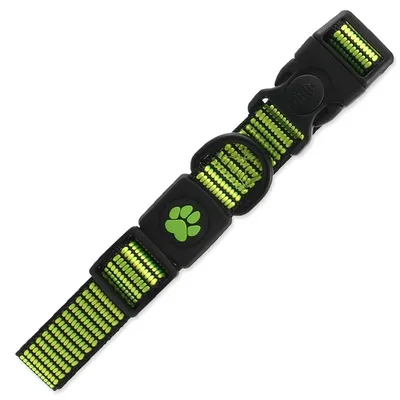 Obrázok produktu pre Obojok DOG Strong lime L 1 ks