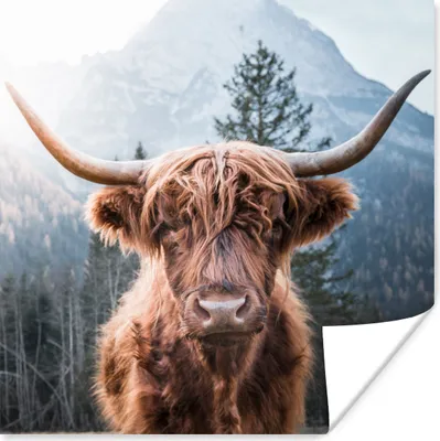 Produktbild von MuchoWow® Poster Schottische Highlander - Berge - Landschaft 75x75 cm - Wand Dekoration