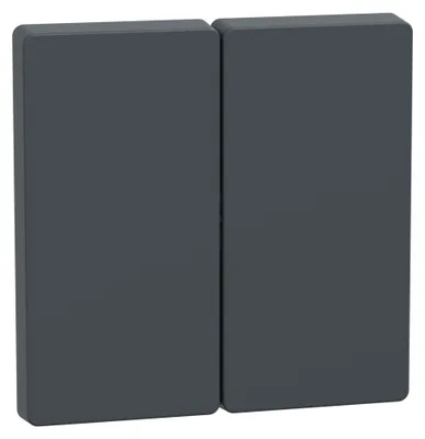 Produktbild von MERTEN Wippe Anthrazit System Design MEG3400-6034