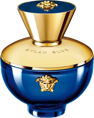 Image de Versace Pour Femme Dylan Blue Eau De Perfume Spray 100ml