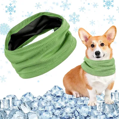 Immagine prodotto di Collare refrigerante per cani, traspirante, taglia unica, ideale per l'estate