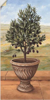 Produktbild von ARTland Wandbild, selbstklebend Olivenbaum Größe: 30x60 cm