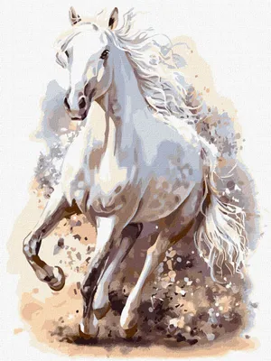 Immagine prodotto di Dipingere con i numeri - Raffinata potenza 30x40 cm - Ideyka