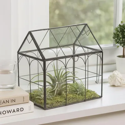 Immagine prodotto di Terrario a forma di casa di vetro per piante da interno