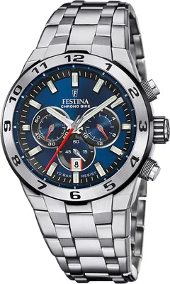 Obrázek produktu pro Hodinky Festina F20670-1 stříbrné