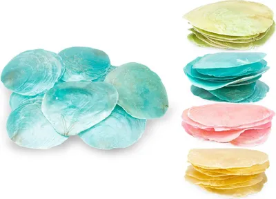 Produktbild von Camar-Perlmuttscheiben in vielen Farben wählbar, Packung mit 0,25kg | Bunte Perlmuttscheiben zum Basteln  , Farbe:Türkis
