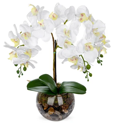 Produktbild von Kunstpflanze Orchidee in Glasvase