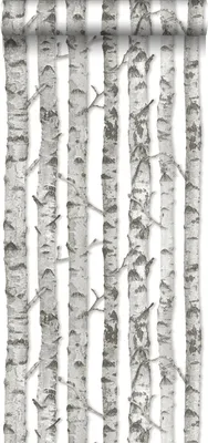 Immagine prodotto di Walls4You Carta da parati alberi grigio e bianco - 935295 - 53 cm x 10,05 m