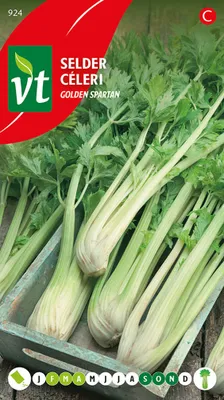 Obrázok produktu pre Semená zeleru Golden Spartan - cca 1 gr | VT_924