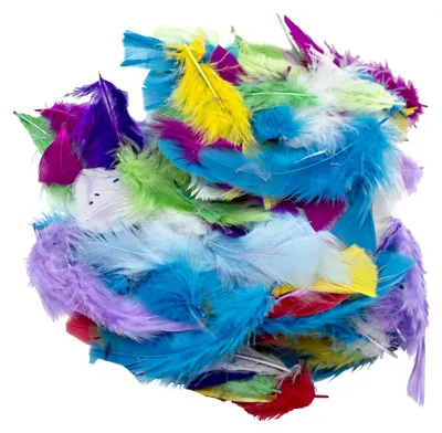 Produktbild von EDUPLAY 370149 Collage-Federn (20 g)