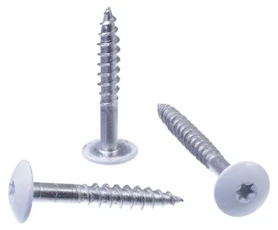 Produktbild von SECCARO Fassadenschraube 4,8 x 38 mm, RAL 9010 reinweiß, Edelstahl A2, Trespo, Flachrundkopf, TX / Innensechsrund, 100 Stück
