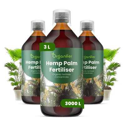 Obrázek produktu pro Konopná Palma Tekuté Hnojivo 3x1 L – 2-1-8 NPK – Pro Konopné Palmy – Podporuje Bujný Růst Listov & Silné Kořeny – Organifer