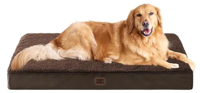 Immagine prodotto di Cuccia ortopedica per cani, taglia XL, 112x81 cm, lavabile, color marrone