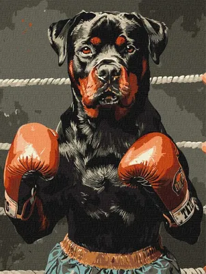 Produktbild von Malen nach Zahlen - Boxring Motiv 30x40cm