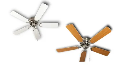 Obrázek produktu pro Extra plochý stropní ventilátor Pepeo Kisa Deluxe kartáčovaný nikl bílý / javorové lopatky