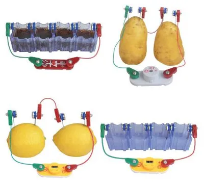 Image de Kit Pile Citron Equascience