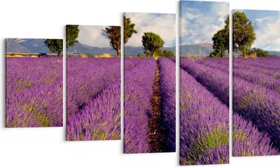 Produktbild von Bild auf Leinwand - Leinwandbild - Landschaft Wiese Pflanzen - 100x60cm - Wand Bild - Wanddeko - Leinwanddruck - Bilder - Kunstdruck - Wanddekoration - Leinwand bilder - Wandkunst - EG100x60-0128