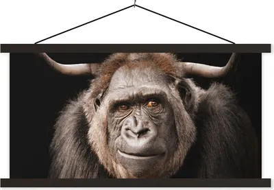 Produktbild von MuchoWow® Textilposter Affe - Schottisches Hochlandrind - Gorilla 60x30 cm mit schwarzem Rahmen - Textilien