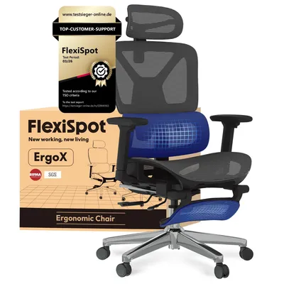 Produktbild von FLEXISPOT ErgoX Ergonomischer Bürostuhl mit Fußstütze 3D-Armlehnen&Kopfstütze 5D-verstellbare Rückenlehne Tragfähigkeit von 136 kg Grau