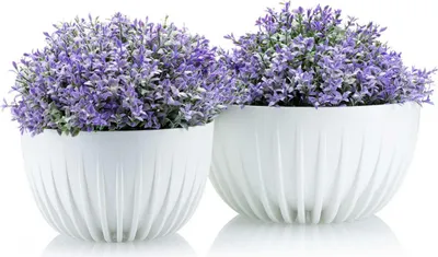 Obrázek produktu pro HowHomely | Sada 2 květináčů, květináč bílý - 15,6 a 14 cm - květinové koryto, květináč