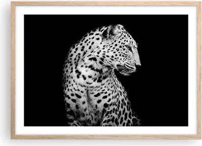 Produktbild von Gerahmtes Poster - Rahmen in heller Eiche - Leopard Panther Katze - 70x50 cm - Wand Bild - Wanddeko - Wandbilder - Kunstposter - Wandposter - Bilderrahmen - Bilder - Kunstdruck - P2NAA70x50-4919