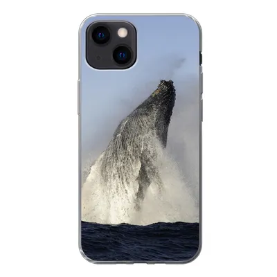 Produktbild von MuchoWow® Handyhülle Schutzhülle Hülle für iPhone 13 mini Wal - Wasser - Südafrika Silikon Softcase Handy Hülle - Softcase