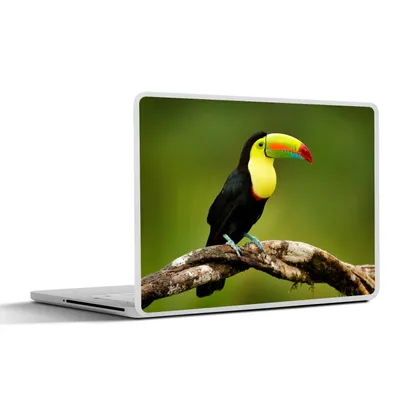 Produktbild von MuchoWow® Laptop Aufkleber Sticker Cover Vogel - Tukan - Regenbogen - Grün - Zweig 30x22 cm - Laptop-Sticker