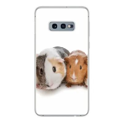 Produktbild von MuchoWow® Handyhülle Schutzhülle Hülle für Samsung Galaxy S10e Fünf Meerschweinchen Silikon Softcase Handy Hülle - Handy