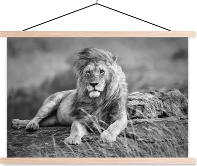 Produktbild von MuchoWow® Textilposter Löwen - Wild - Schwarz - Weiß 60x40 cm mit holzfarbenen Rahmen - Bilder