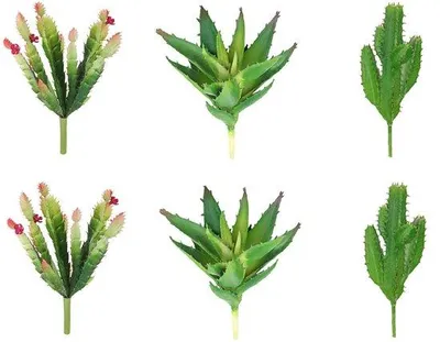 Image de Mini-cactus artificiels pour la décoration intérieure