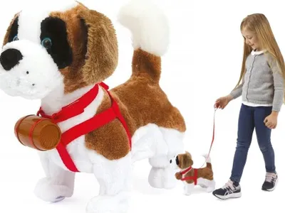 A girl is walking a toy dog on a leash, with a larger toy dog in the foreground.