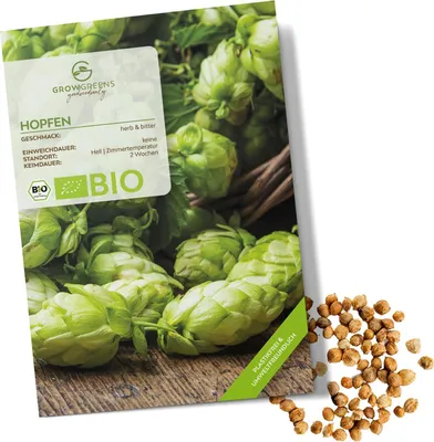 Produktbild von Hopfen Samen - Heilkräuter Saatgut aus biologischem Anbau ideal für den heimischen Kräutergarten, Balkon & Garten (40 Korn)