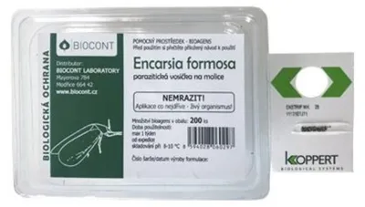 Obrázek produktu pro BIOCONT LABORATORY, spol. s r.o. Parazitické vosičky proti molicím (200 ks) - Encarsia formosa