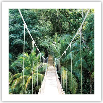 Produktbild von Poster - Poster ohne Rahmen - Tropen Dschungel Brücke - 50x50 cm - Wand Bild - Wanddeko - Wandbilder - Kunstposter - Wandposter - Bilder - Kunstdruck - Wanddekoration - Wandbild - P2XAC50x50-4963