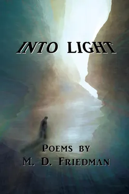 Produktbild von Into Light