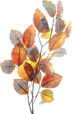 Produktbild von GASPER Herbstlicher Buchenlaubzweig Brauntöne 70 cm - Kunstpflanzen